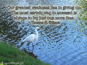 thoma edison, monday quotes, quotes, lynne st. james, try, succeed, happiness,