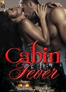 cabin fever, willow brooke, jk publishing, romance