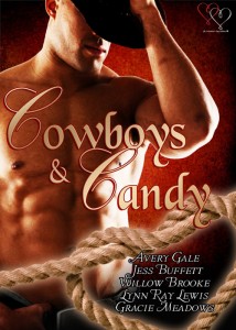 cowboys and candy, cowboys, candy, valentine anthology, valentine, sexy, book, avery gale, jess buffett, willow brooke, lynn ray lewis, gracie meadows