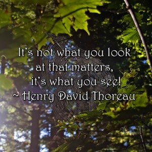 Henry David Thoreau, see, look, what matters, wisdom, words, monday quotes, quotes, monday, lynne st. james