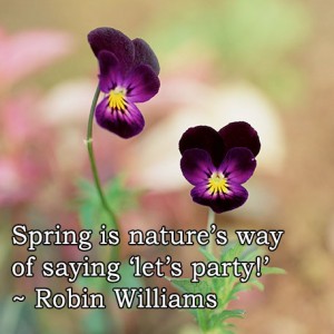 spring, nature, beauty, happiness, new beginnings, robin williams, monday quotes, quotes, monday, lynne st. james