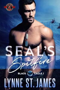 military, romance, suspense, action and adventure, kidnapping. lynne st james, SEALs